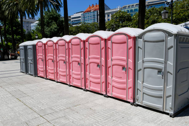 Best Portable Toilets with Baby Changing Stations  in Carrollton, MO